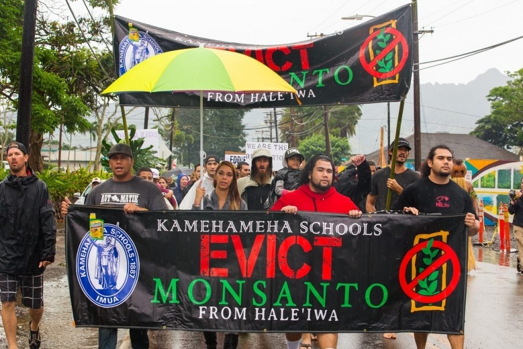 March in Hale'iwa