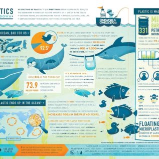 Marine Plastic: an infographic - Surfd