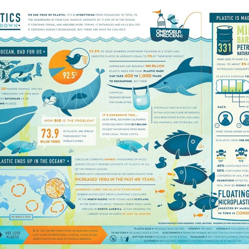 Marine Plastic: an infographic - Surfd