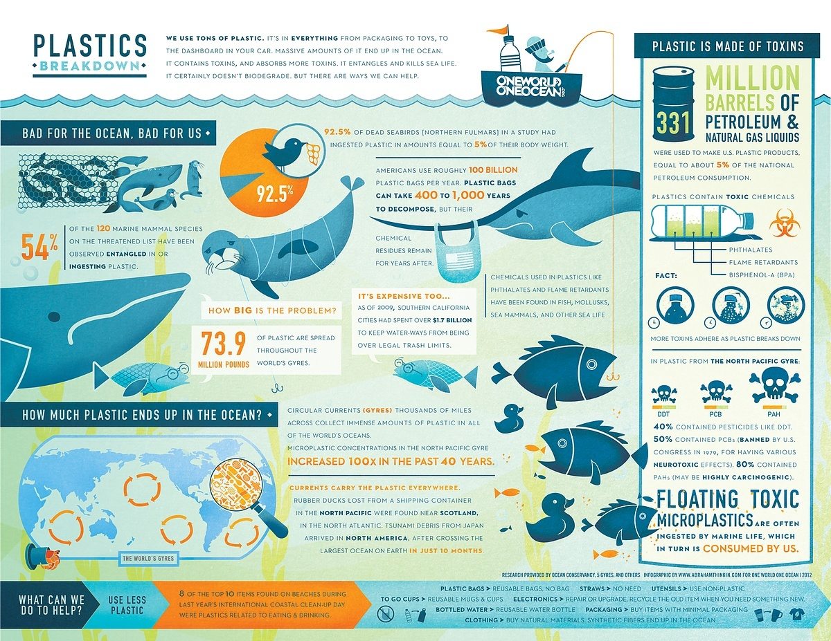 solution overfishing for Surfd infographic Marine  an  Plastic: