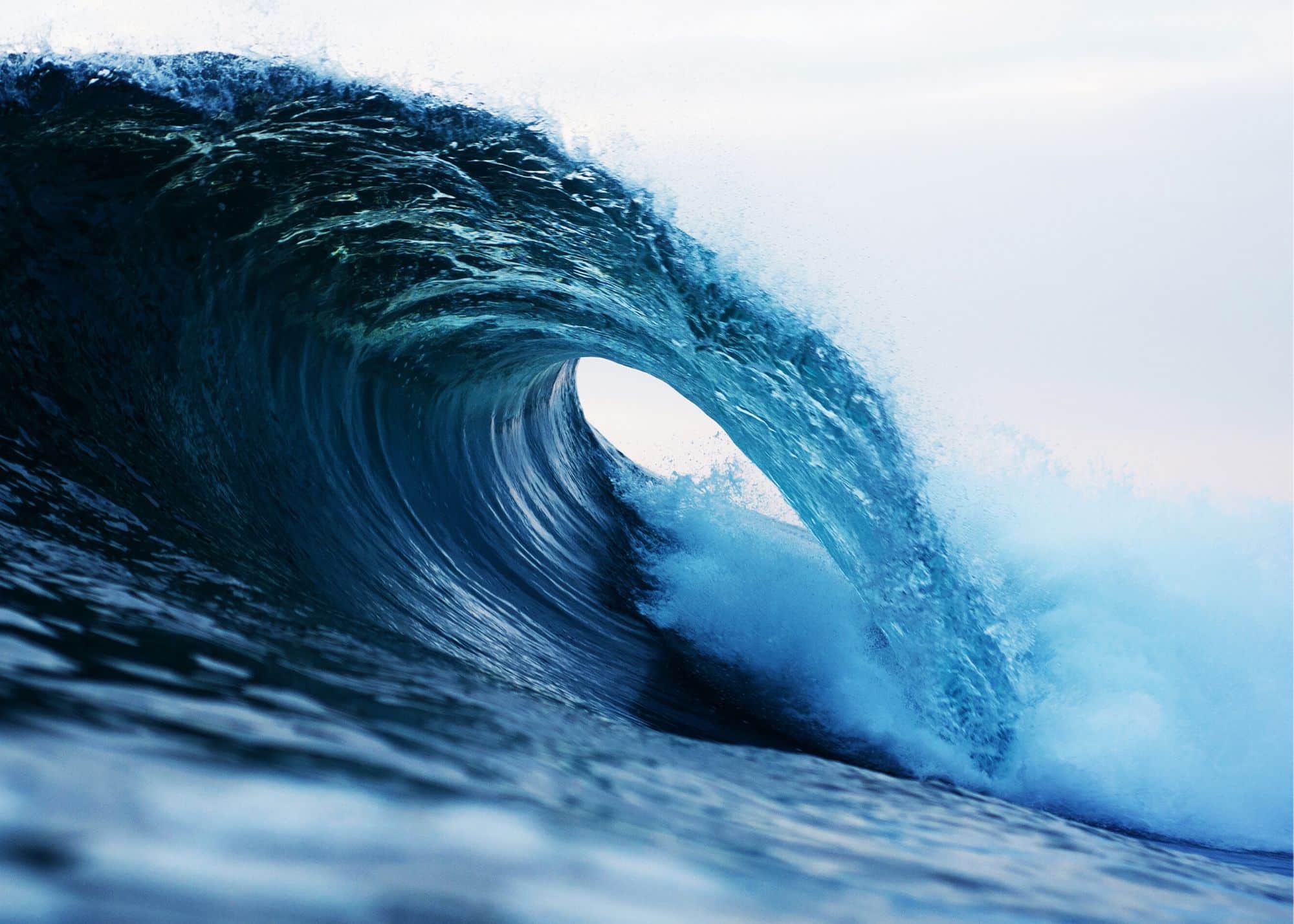 Learn How to Catch and Surf a Green Wave