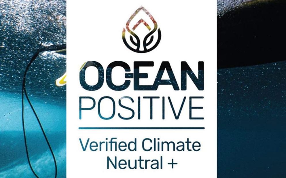 ocean positive sea trees sustainability