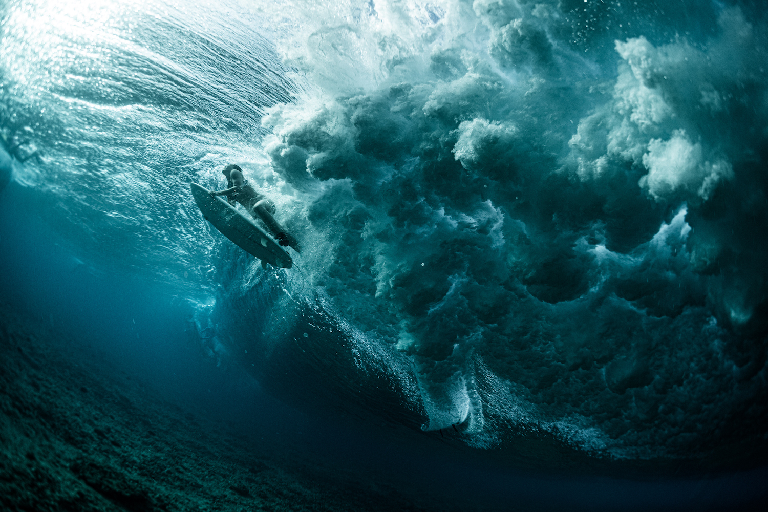surf photographers raise ocean awareness in 'stories for the sea' book