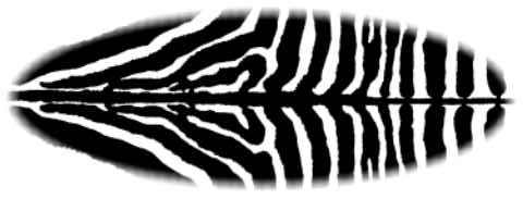 Sharkcamo design decal for surfboards