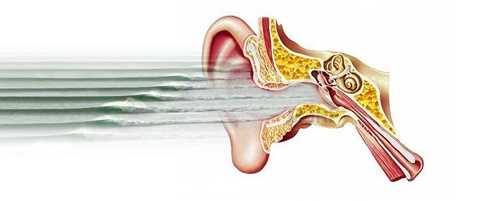 Ear infections for surfers
