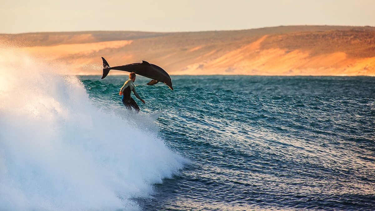 Finding Flow with Jiro Taylor