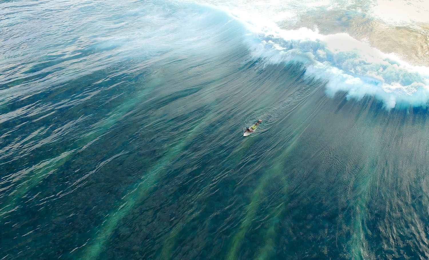 Surfing