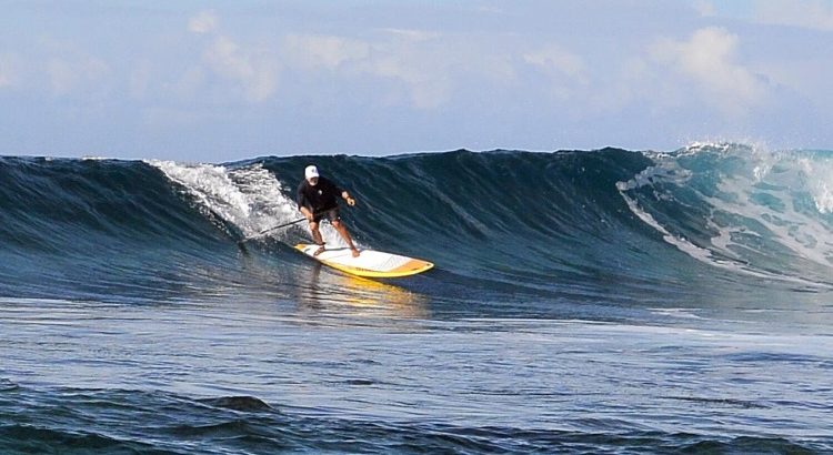 Surf1