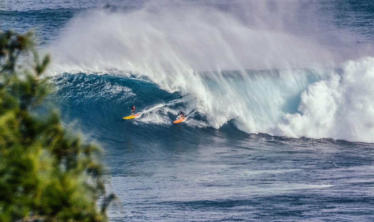 Surfers drop