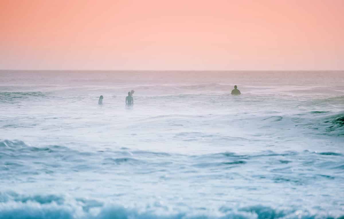 Surfers in the water