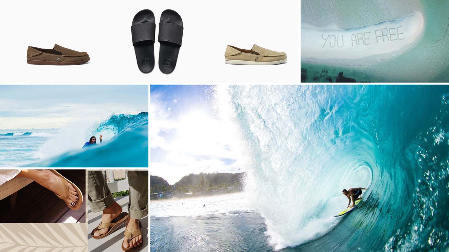 Company Profile: Reef
