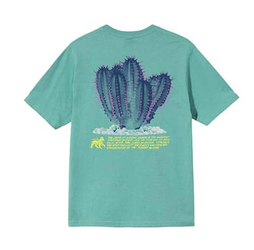 DESERT BLOOM TEE