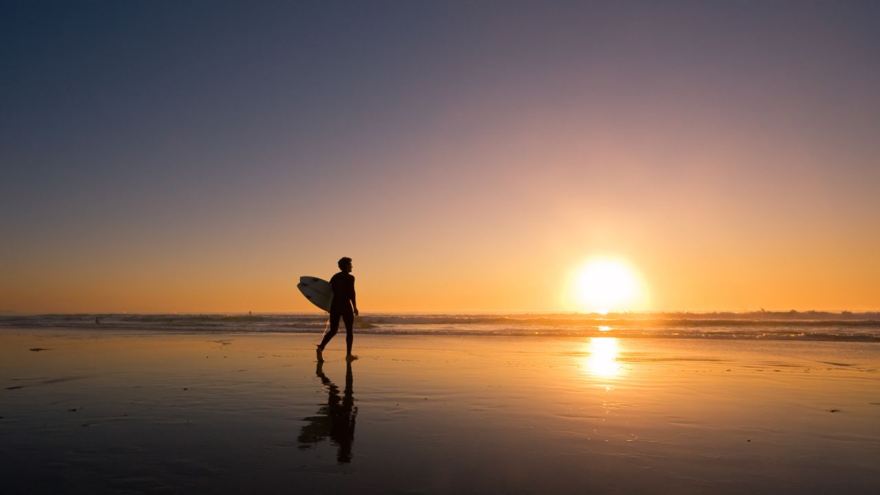 Surfing Lessons – The Most Important Next Steps