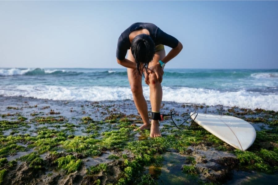 Surfd