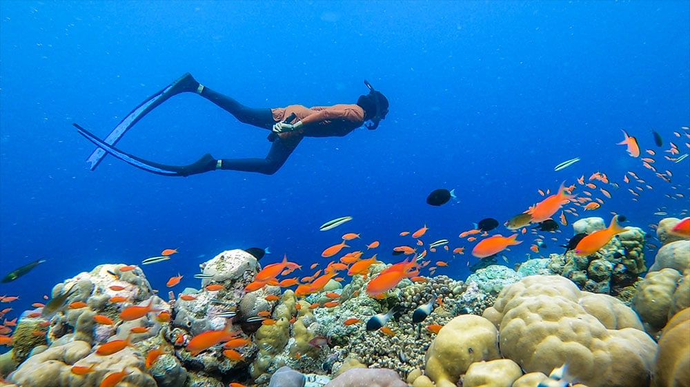 Snorkel