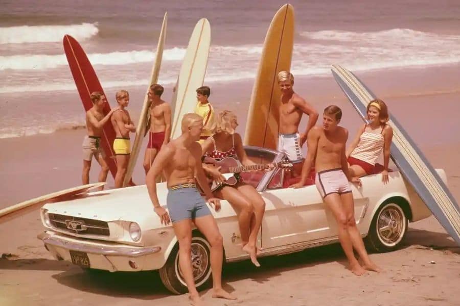 Surfd