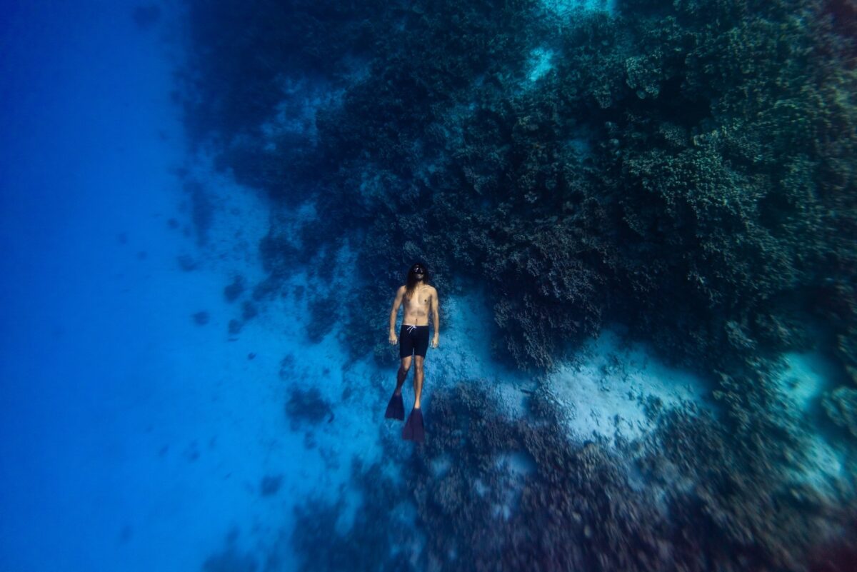 Reef