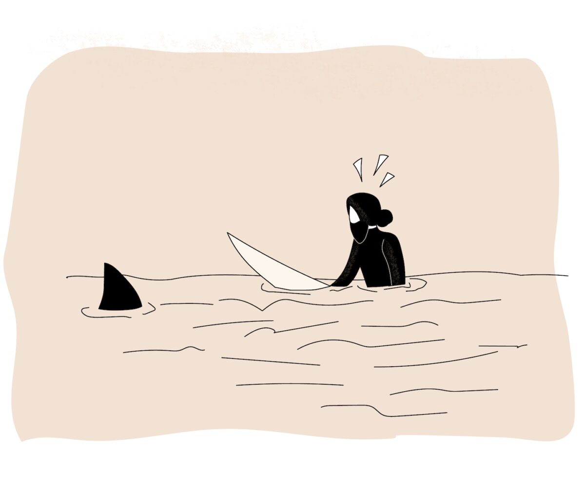 Surfing with sharks illustration
