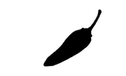 Chilli Surfboards Logo