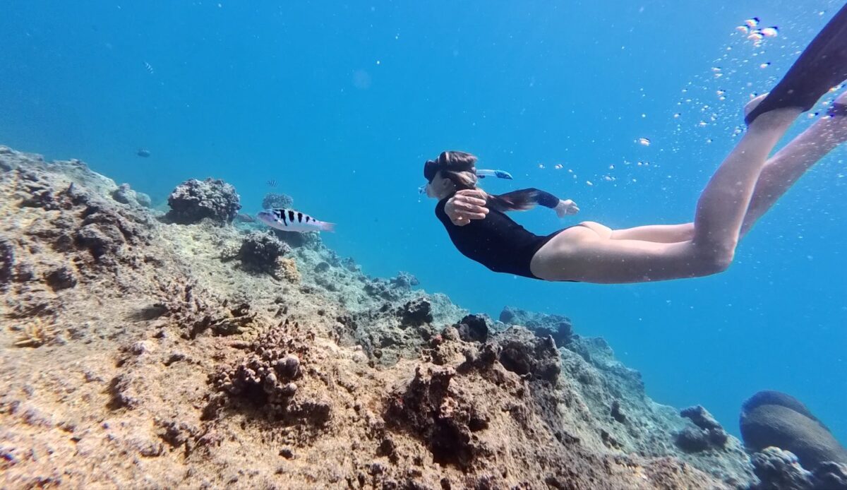 Underwater snorkeling, Fiji Island, mana Resort