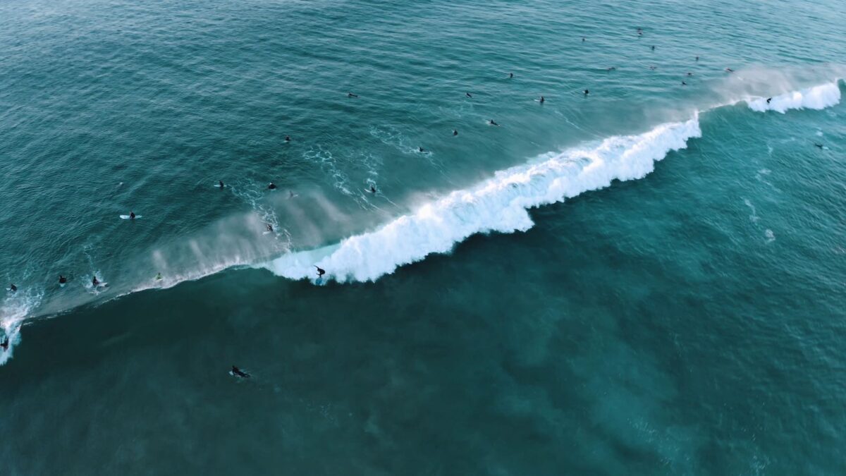 surfing