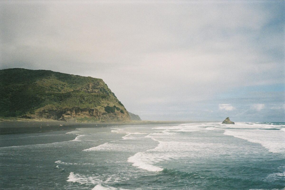 Piha Beach and Lion Rock, west Auckland, New Zealand